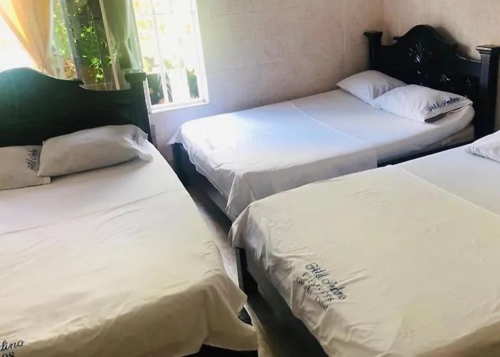 Hotel Andino
